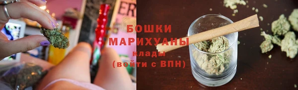 прущий лед Костерёво