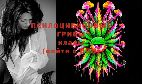 герыч Корсаков
