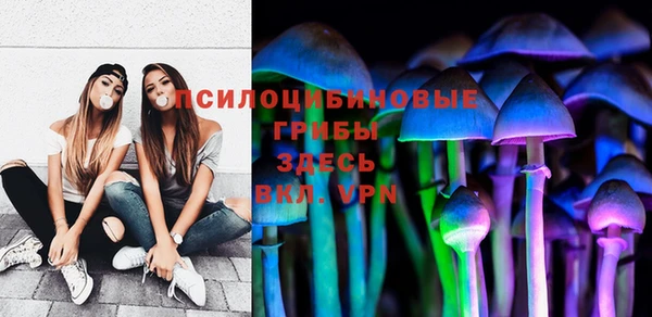 прущий лед Костерёво