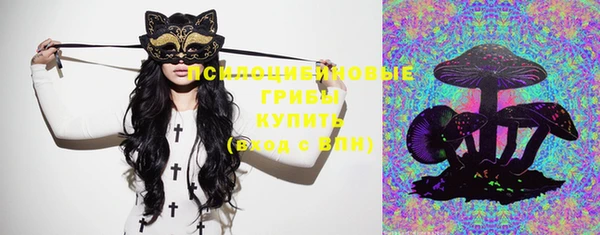 прущий лед Костерёво