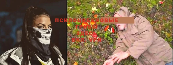 сатива Красноперекопск