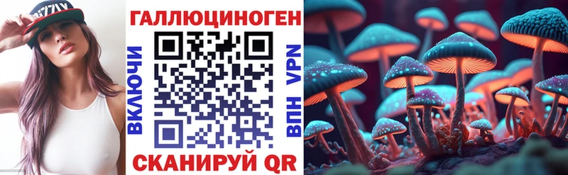 гидра как войти  Костомукша  Галлюциногенные грибы мицелий 