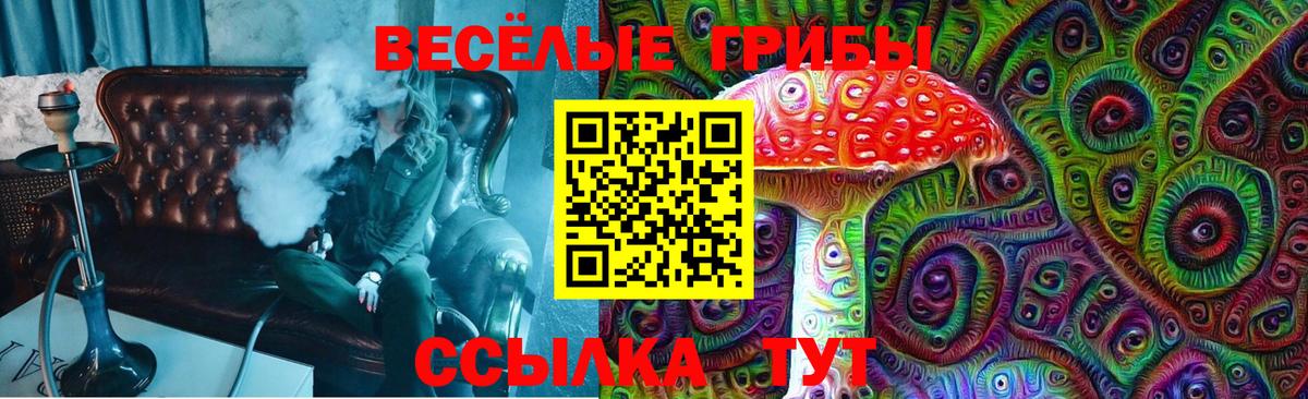 Костомукша  Псилоцибиновые грибы ЛСД  Вход с VPN 